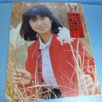 ◎河合奈保子◎切り抜き◎ Amazon | 河合奈保子切り抜き16P当時物写真集写真誌雑誌歌手女優